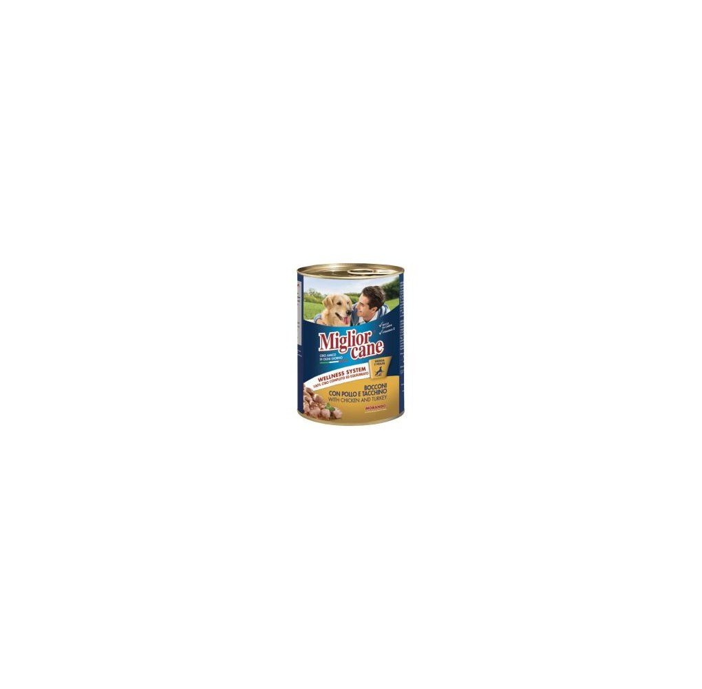 MIGLIOR CANE POL/TAC GR.405